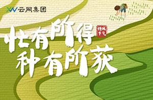 芒種時(shí)節(jié)，云網(wǎng)人以耕耘赴未來(lái)